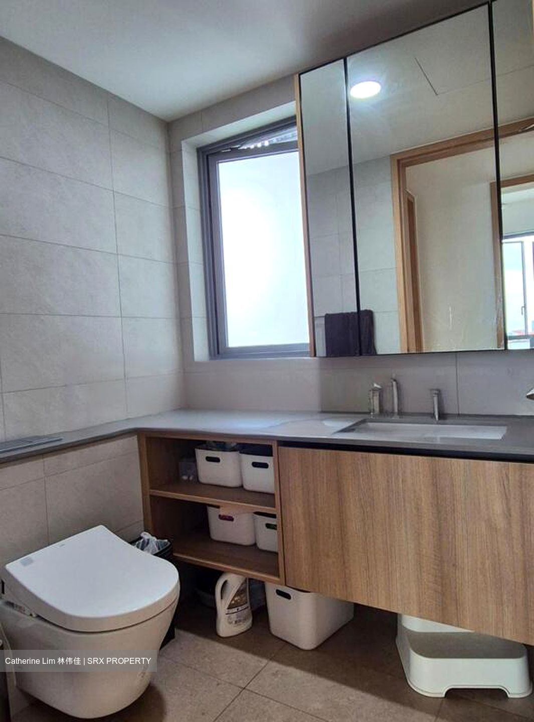 One Holland Village Residences (D10), Apartment #446891291